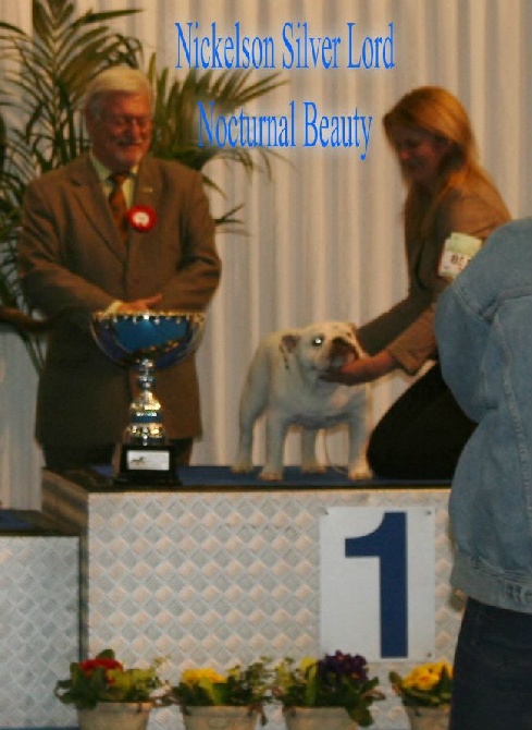 Nocturnal Beauty - Nickelson Silver Lord Nocturnal Beauty Best Puppy in show Luxembourg