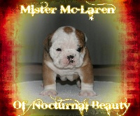 Mister Mc-Laren of Nocturnal Beauty